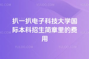 扒一扒电子科技大学国际本科招生简章里的2026年费用
