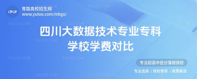 四川大数据技术专业专科学校学费