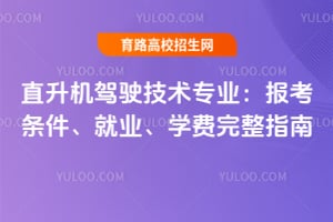 ֱ������ʻ����רҵ��������������ҵ��ѧ������ָ��