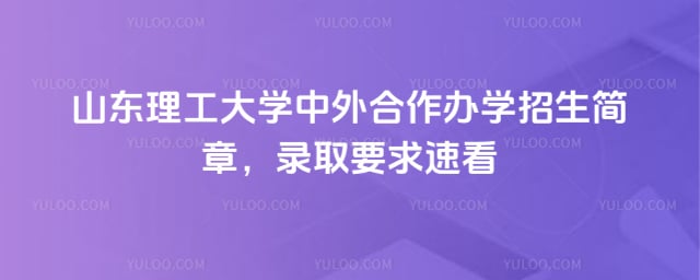 山东理工大学中外合作办学招生简章
