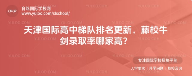 天津国际高中梯队排名