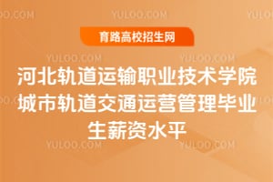 �ӱ��������ְҵ����ѧԺ���й����ͨ��Ӫ������ҵ��н��ˮƽ