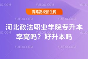 �ӱ�����ְҵѧԺר�����ʸ��𣿺�������