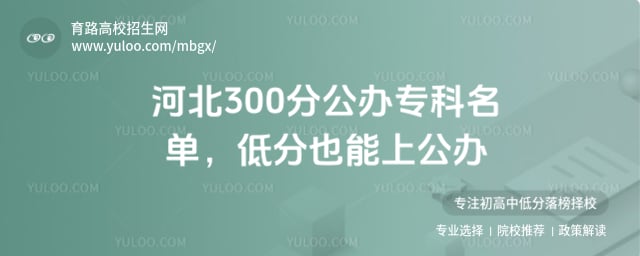 300�����ϵĹ���ר�Ƽ�©