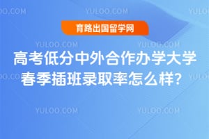 2026年高考低分中外合作办学大学春季插班录取率怎么样?