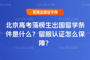 �����߿������������ѧ������ʲô��2026������֤��ô���ϣ�