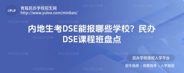 �ڵ�����DSE