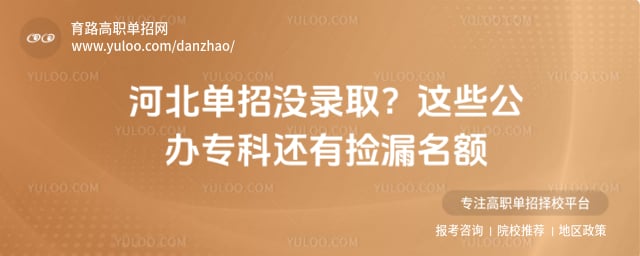河北单招没录取
