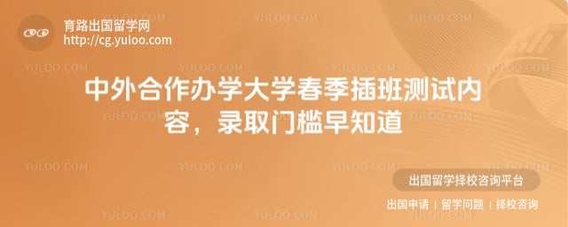 中外合作办学大学春季插班测试内容