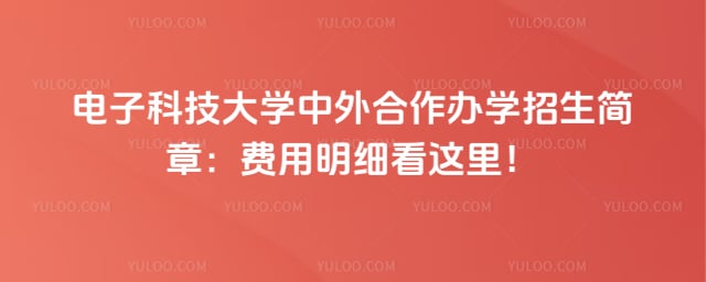 电子科技大学中外合作办学招生简章