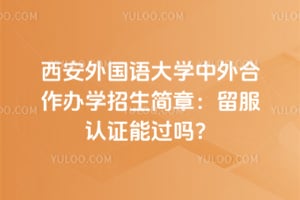 西安外国语大学中外合作办学招生简章：2026留服认证能过吗？