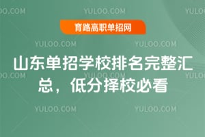 2026山东单招学校排名完整汇总，低分择校必看