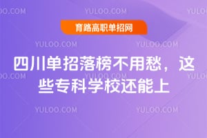 �Ĵ���������ó��Щר��ѧУ������