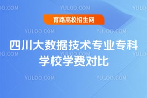 �Ĵ������ݼ���רҵר��ѧУѧ�ѶԱ�