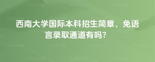 西南大学国际本科招生简章