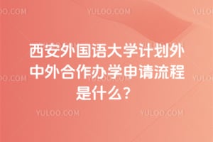 2026年西安外国语大学计划外中外合作办学申请流程是什么？