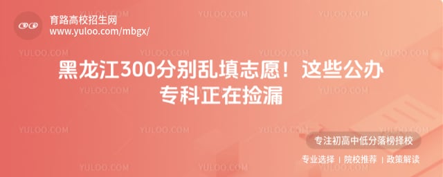 300�����ϵĹ���ר�Ƽ�©