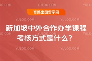 2026年新加坡中外合作办学课程考核方式是什么?