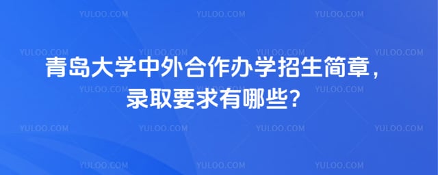 青岛大学中外合作办学招生简章