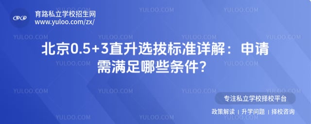 ����0.5+3ֱ��ѡ�α�׼���