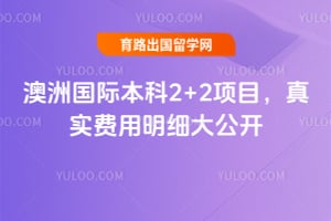 2026����޹��ʱ���2+2��Ŀ����ʵ������ϸ�󹫿�