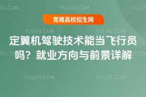 定翼机驾驶技术能当飞行员吗?就业方向与前景详解