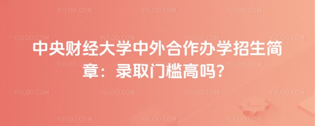 中央财经大学中外合作办学招生简章