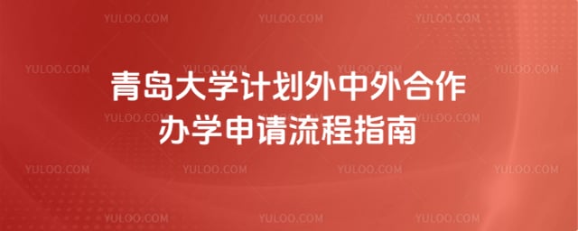 青岛大学计划外中外合作办学申请流程