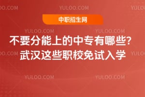 ��Ҫ�����ϵ���ר����Щ���人��ЩְУ������ѧ