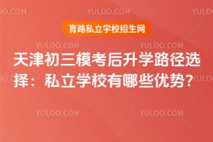 ������ģ������ѧ·��ѡ��˽��ѧУ����Щ���ƣ�