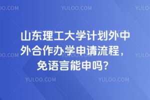 2026年山东理工大学计划外中外合作办学申请流程，免语言能申吗？