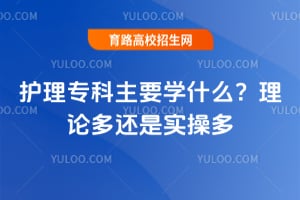 ����ר����Ҫѧʲô�����۶໹��ʵ�ٶࣿ