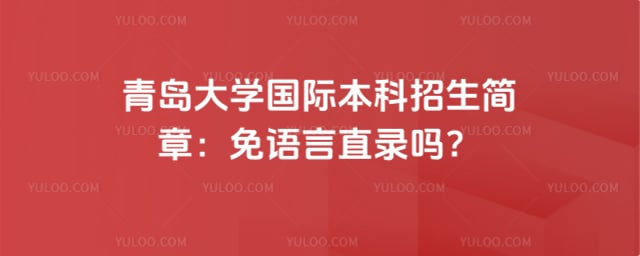青岛大学国际本科招生简章
