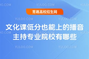 �Ļ��εͷ�Ҳ���ϵĲ�������רҵԺУ����Щ��