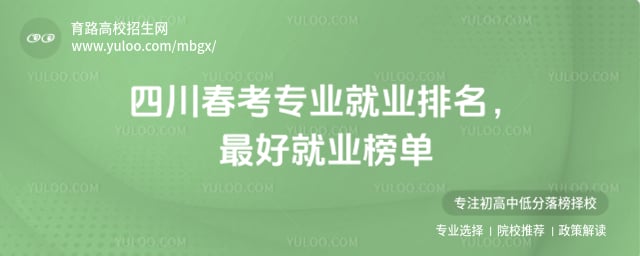 �Ĵ�����רҵ��ҵ����