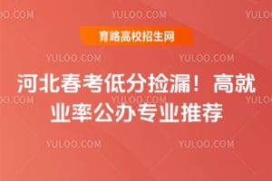 �ӱ������ͷּ�©���߾�ҵ�ʹ���רҵ�Ƽ�