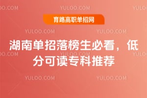 2026���ϵ���������ؿ����ͷֿɶ�ר���Ƽ�