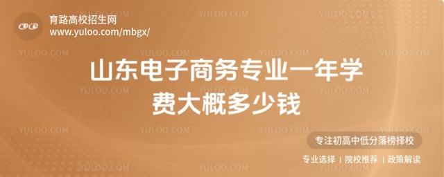山东电子商务专业学费