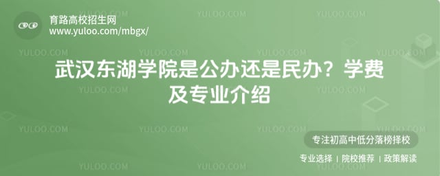 武汉东湖学院是公办还是民办