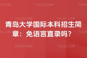 青岛大学国际本科招生简章：2026年免语言直录吗？