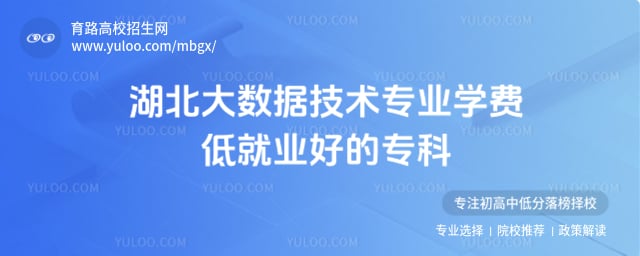 湖北大数据技术专业专科