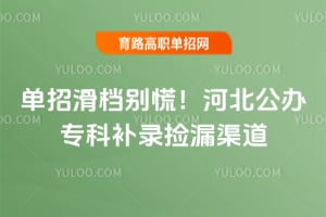 单招滑档别慌!河北公办专科补录捡漏渠道
