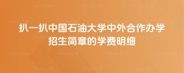 中国石油大学中外合作办学招生简章