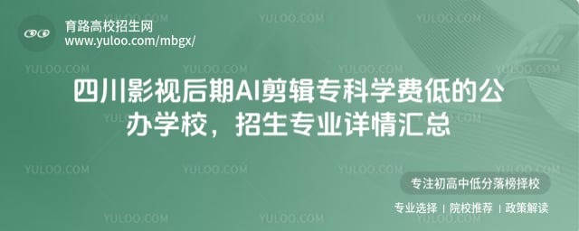 2026�Ĵ�Ӱ�Ӻ���AI����ר��ѧ�ѵ͵Ĺ���ѧУ