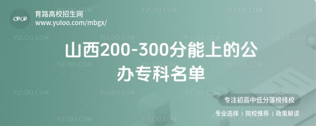 ɽ��200-300�����ϵĹ���ר������