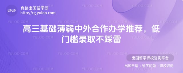 高三基础薄弱中外合作办学推荐