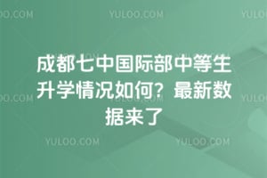 成都七中国际部中等生升学情况如何？2026年最新数据来了