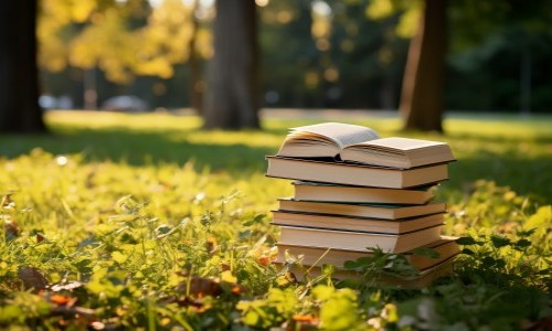 北京市海淀区崛起实验学校开放日