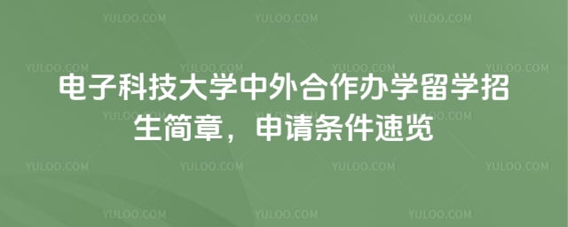 电子科技大学中外合作办学留学招生简章