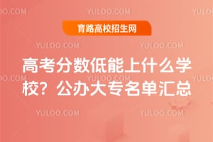 2026�߿�����������ʲôѧУ�������ר��������